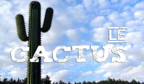 cactus_full-1024x600.jpg