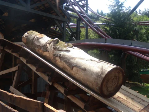 Timberdrop-attraction-09