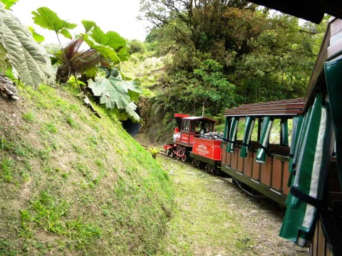 Trainforest-68.jpg