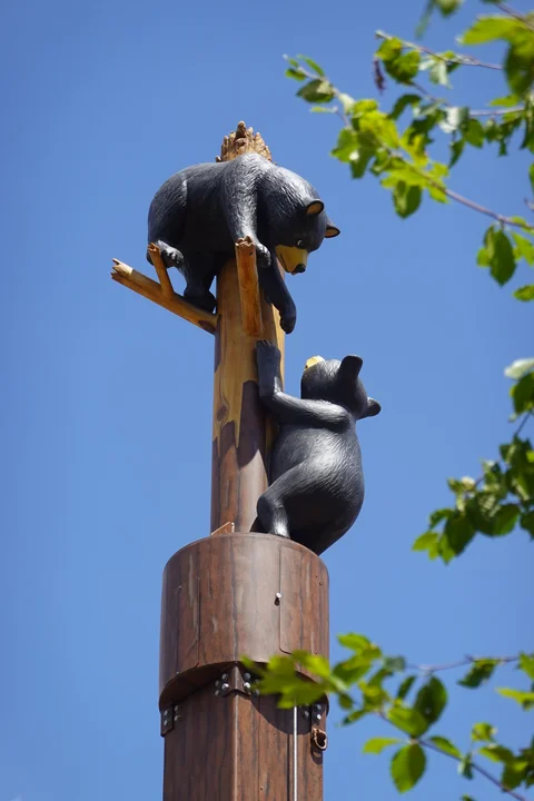 DSC03473-scaled.jpg