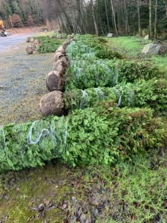 IMG_47331.jpg