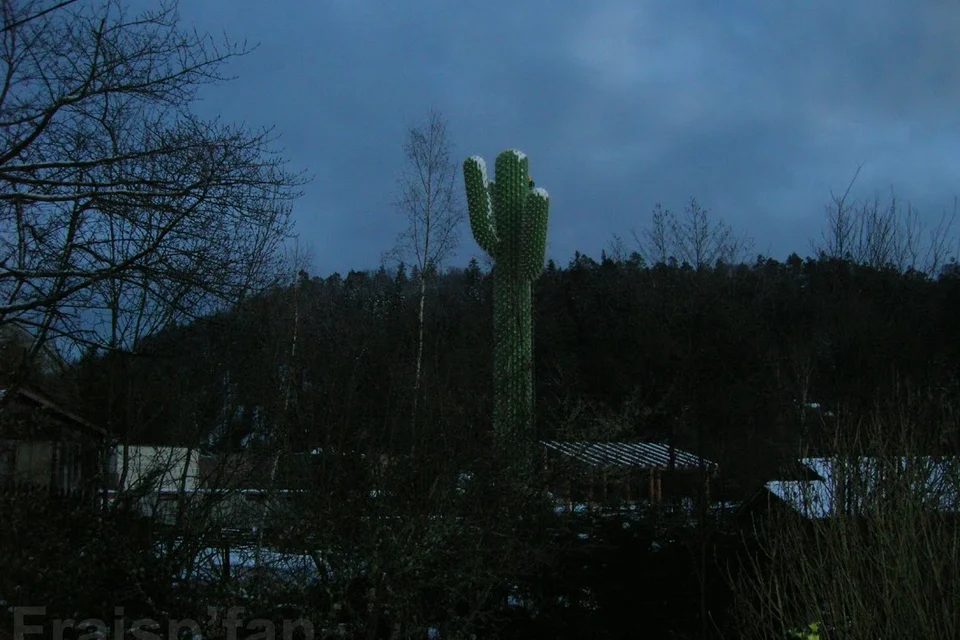 le_cactus_-_construction_-_450