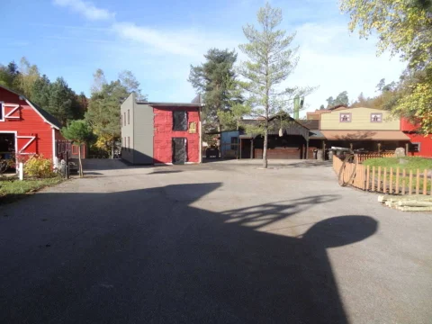 DSC08639.jpg