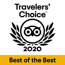 TripAdvisor2020.png