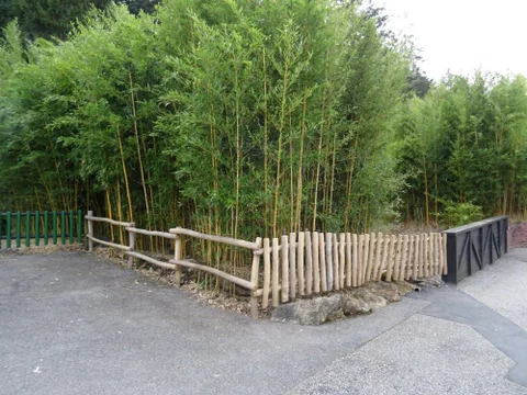 DSC00837.jpg