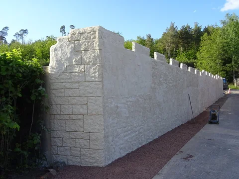 DSC02764.jpg