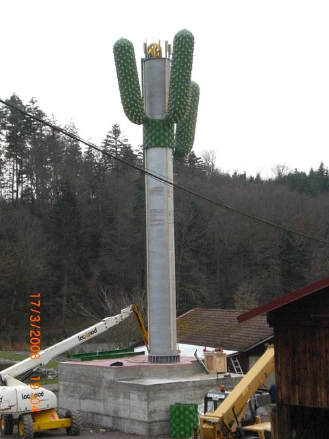 le_cactus_-_construction_-_409