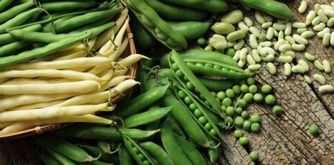 haricot-vert_6-300x149.jpg
