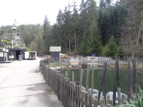 DSC02989.jpg