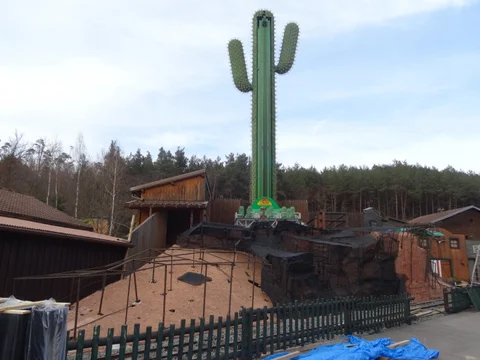 le_cactus_-_construction_-_906