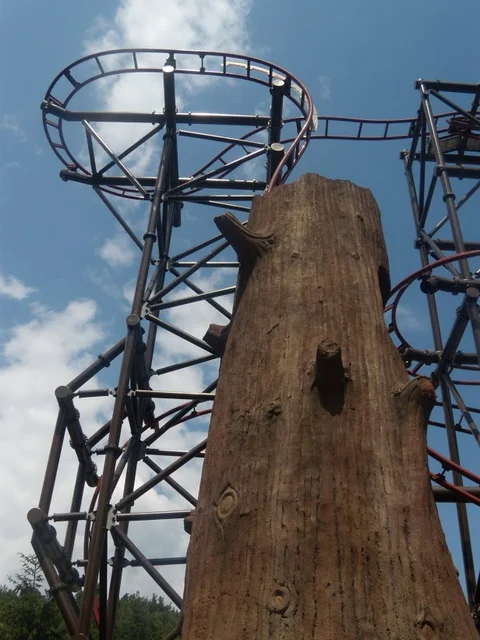 Timberdrop-attraction-12