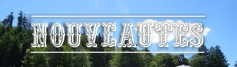 nouveautes-1250x357.jpg