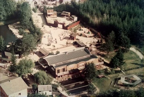 1980-6