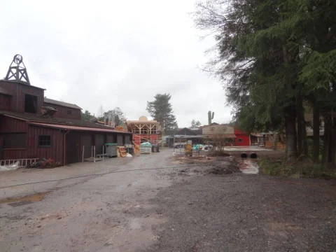DSC09817.jpg