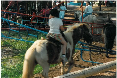 Image-24