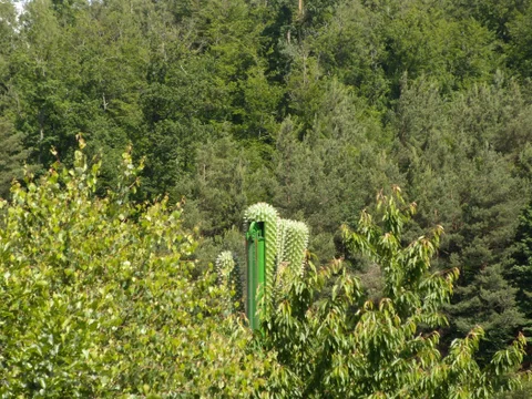 le_cactus_-_attraction_-_295