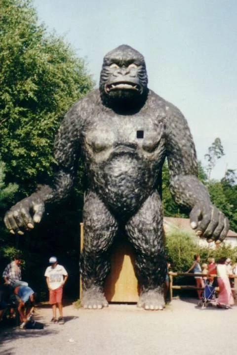 2001fc10.jpg