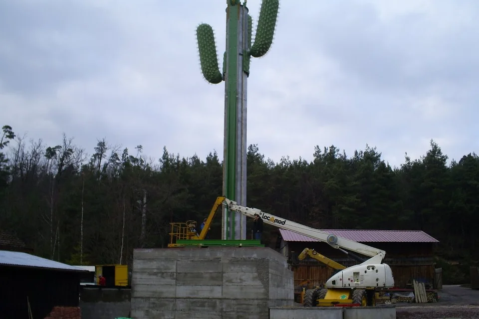 le_cactus_-_construction_-_408
