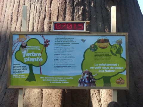 Timberdrop-attraction-20