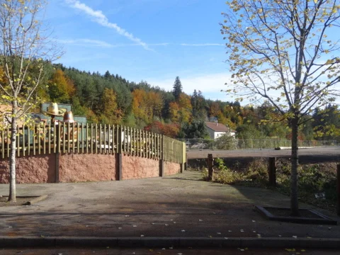 DSC08649.jpg