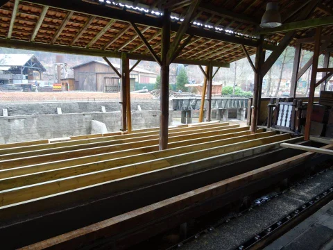 DSC01445.jpg