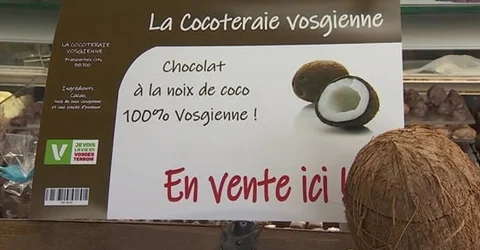 cocoteraie.jpg