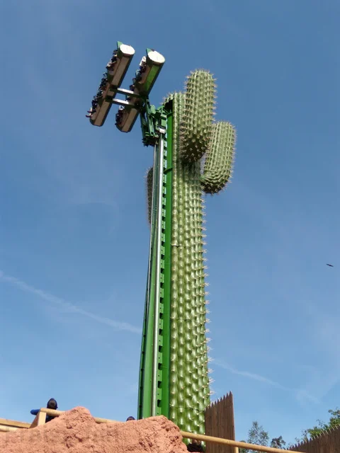 le_cactus_-_attraction_-_301