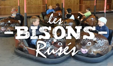 bisons_full-1024x600.jpg