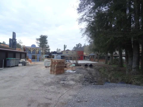DSC09917.jpg