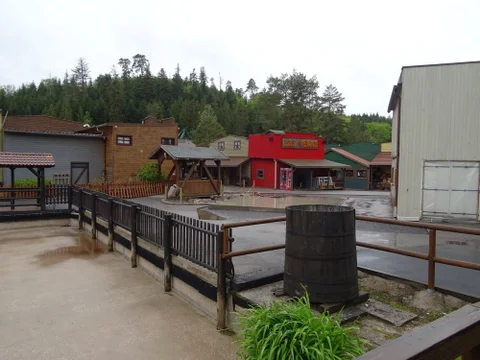 DSC02682.jpg