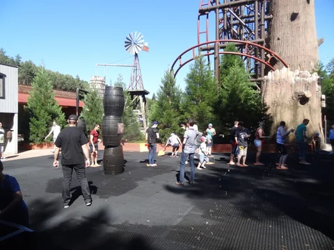 DSC09894