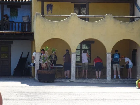 DSC06411