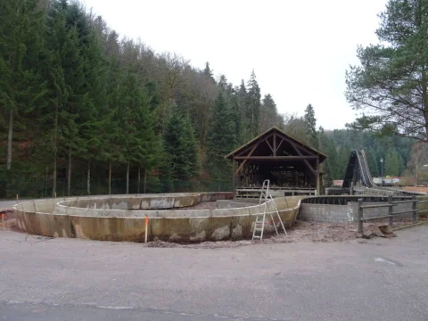 DSC01242.jpg