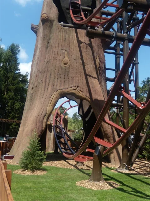 Timberdrop-attraction-07
