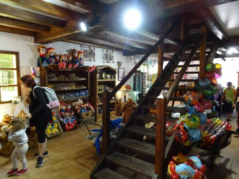 DSC06239