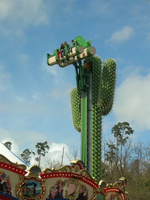 le_cactus_-_attraction_-_298