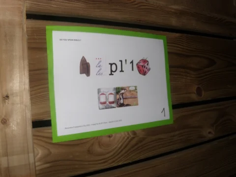 DSCN7655