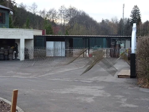 DSC08296.jpg