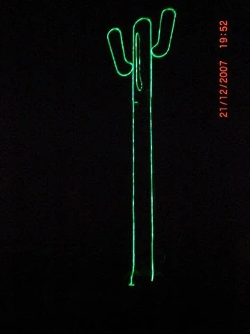 le_cactus_-_construction_-_207
