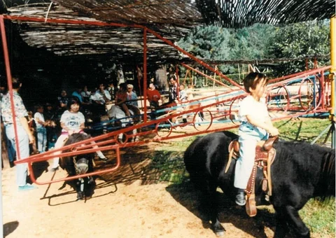 Image-26