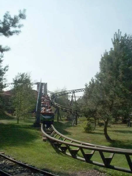 trg vert7