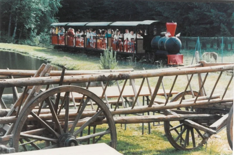 train 3