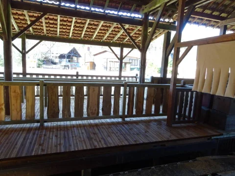 DSC01574.jpg