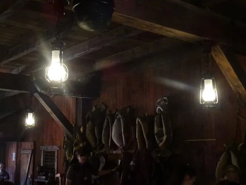 DSC04882.jpg