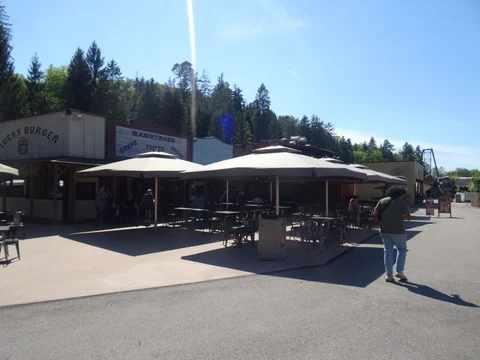 DSC02091.jpg