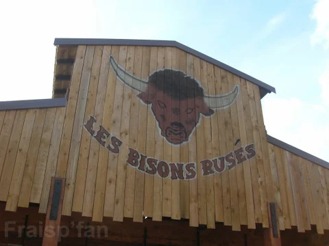 BisonsRuses-01