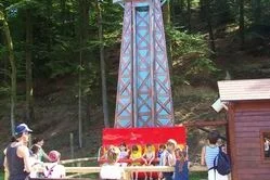 DCP_7302