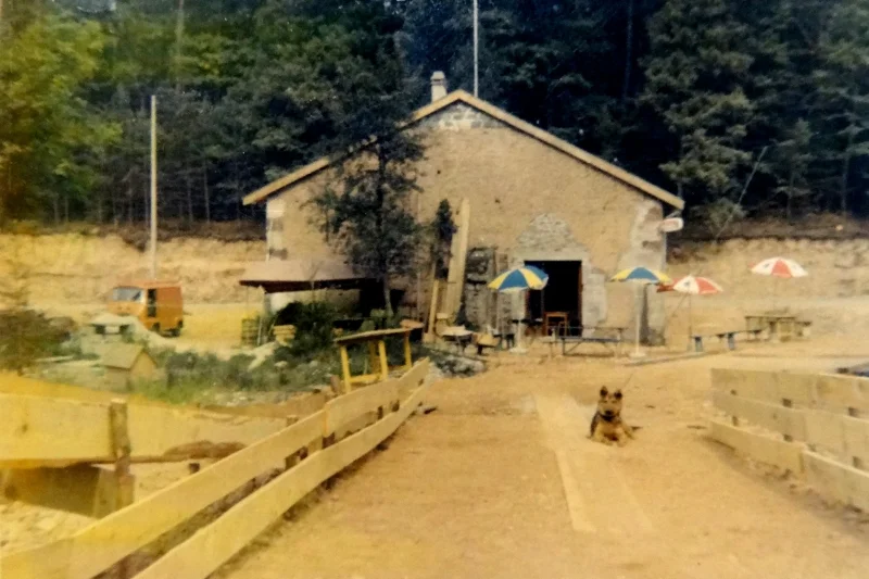 1960-6
