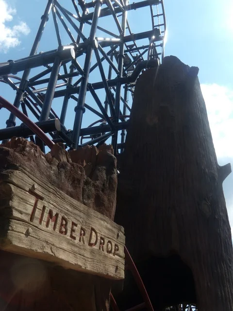 Timberdrop-attraction-11