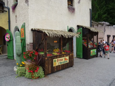 DSC07536.jpg